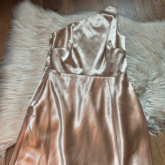 BIRDY GREY Kira Dress In Shiny Satin Neutral Champagne - Picture 8 of 9